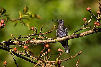 索尼想为PSVR2开发主机品质的3A游戏